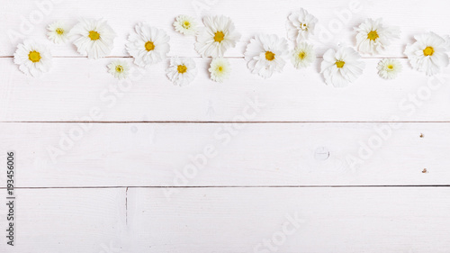 Fototapeta Naklejka Na Ścianę i Meble -  A bouquet of white flowers cosmea or cosmos with ribbon on white boards. Garden yellow flowers over handmade wooden table background. Backdrop with copy space.