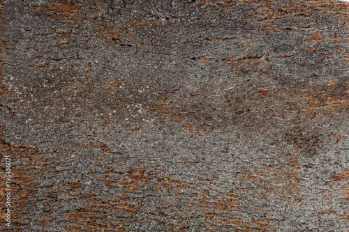 Wallpaper Mural Close Up Background and Texture of Cork Board Wood Surface Torontodigital.ca