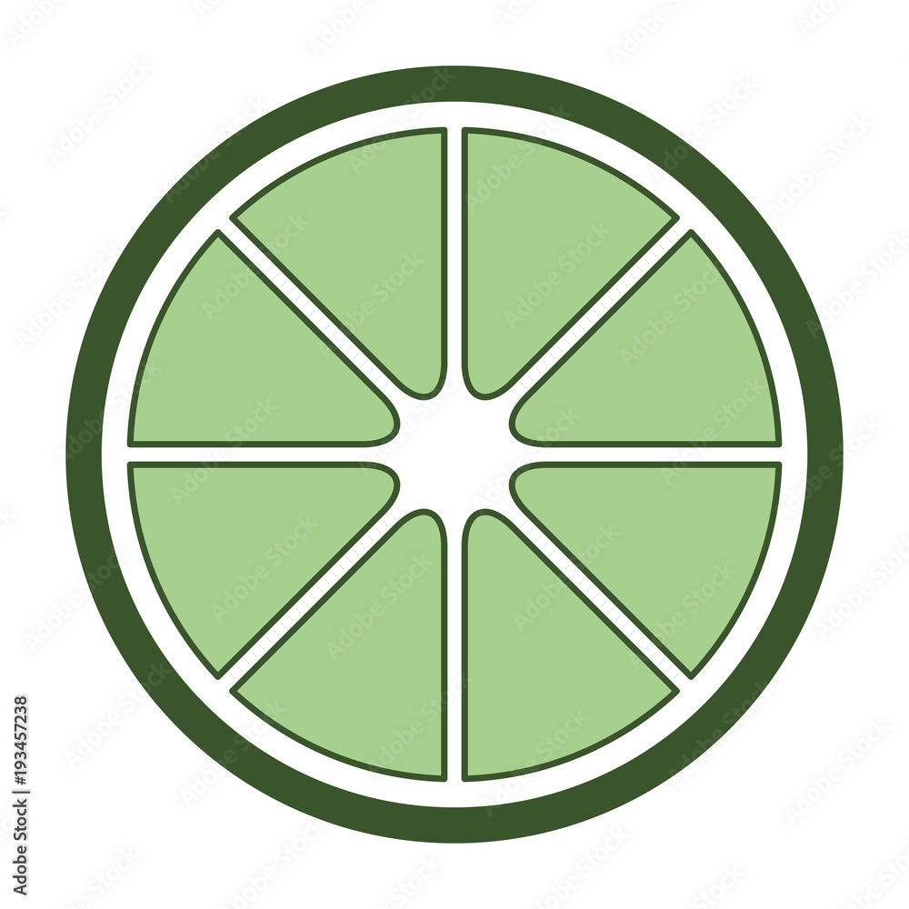 orange slice fresh and citrus fruit vector illustration design orange slice fresh and citrus fruit vector illustration design