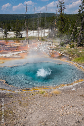 Bubbling geyser hot spring Yellowstone National Park