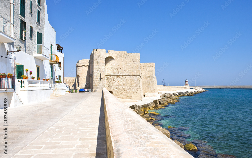 Naklejka premium The architectures and colors of Monopoli