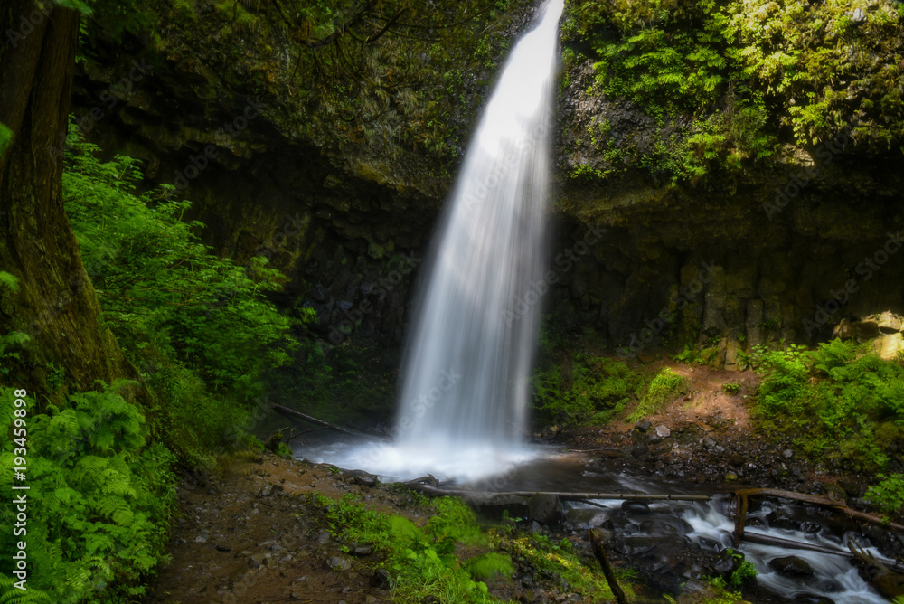 Lush spring waterfall in Oregon's Columbia River Gorge Lush spring waterfall in Oregon's Columbia River Gorge