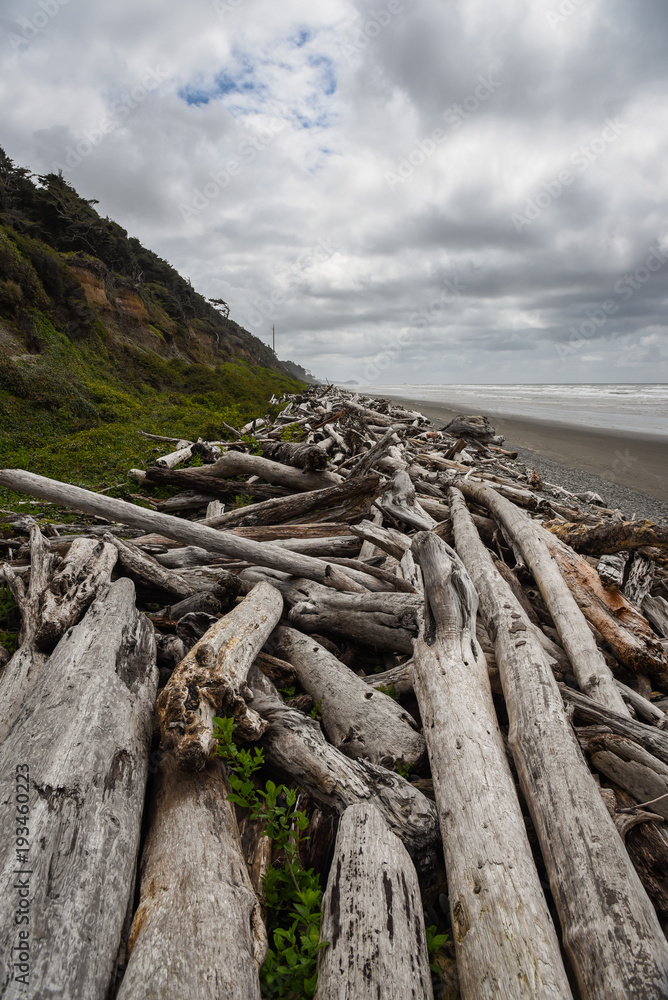 Scattered driftwood on the beach along Washington's Olympic Coast Scattered driftwood on the beach along Washington's Olympic Coast