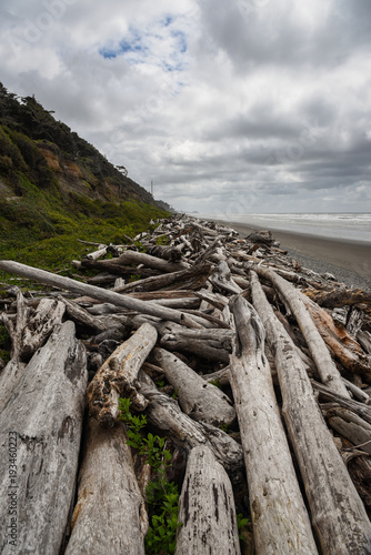 Scattered driftwood on the beach along Washington's Olympic Coast