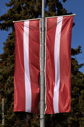 National flag of Latvia hangs vertically on pole, in background green tree and blue sky