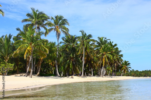 Ocean beach island with palms and sand sunny day with blue sky