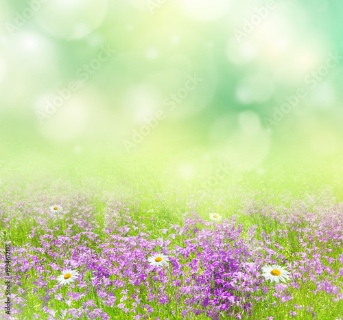 Summer bright background with wildflowers for design. Natural background.