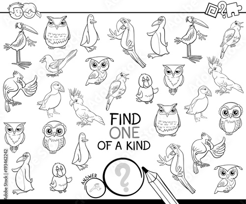one of a kind game with birds coloring book