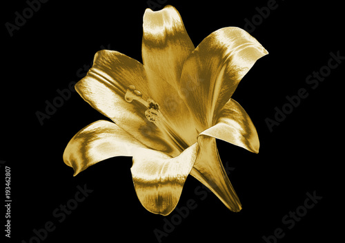 Gold flower on a black background .