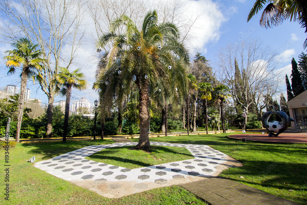 Obraz premium palm tree decorated with football balls,Sochi,Russia