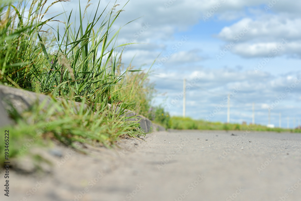 Grass growing along the highway, against a blue sky with clouds