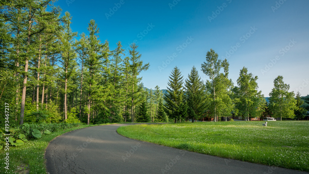 Fototapeta premium Green Hill Street View