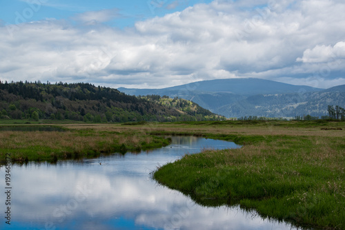 Cloud reflection in grassland landscape
