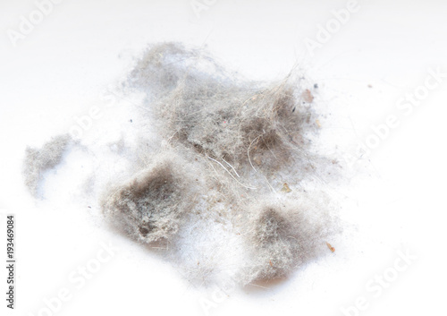Pile dust isolated