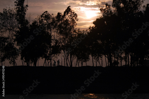 Wallpaper Mural Silhoutte Torontodigital.ca