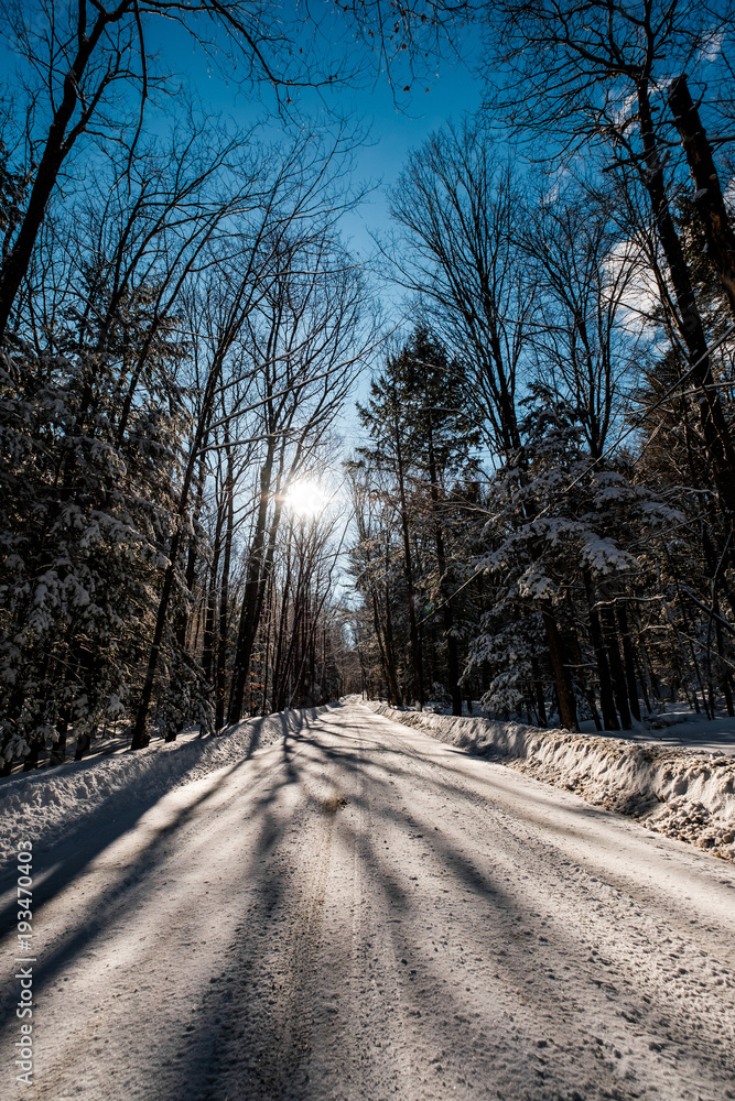 Snow Road through the Woods