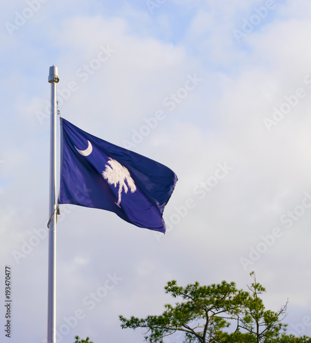 South Carolina Flag on a Pole
