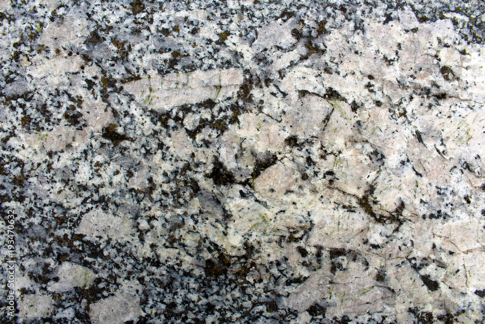 Ghiandone granite rock orthoclase crystals in detail Ghiandone granite rock orthoclase crystals in detail