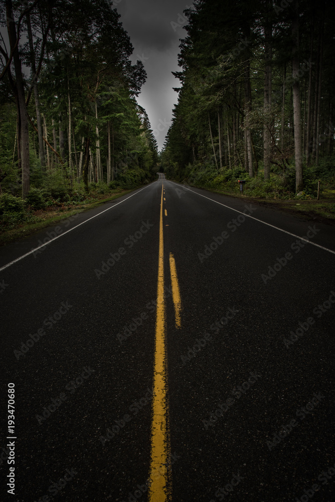dark long road surrounded by trees