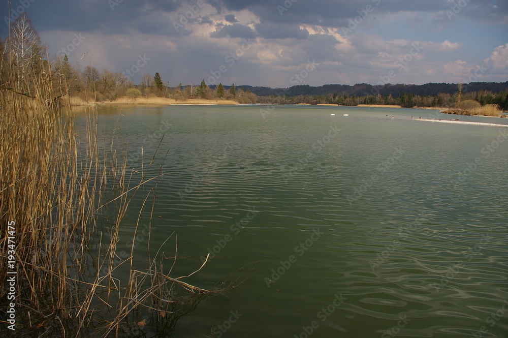 See Wasser Bayern Schilf