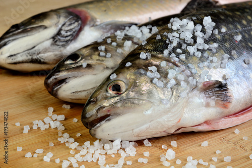 fish