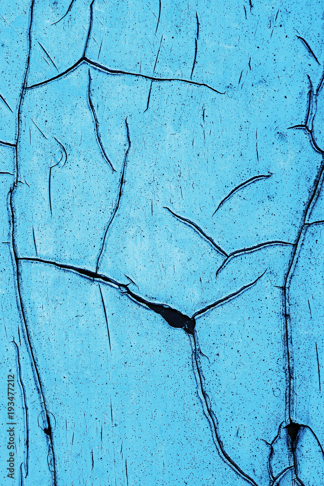 Obraz premium Pattern old wood