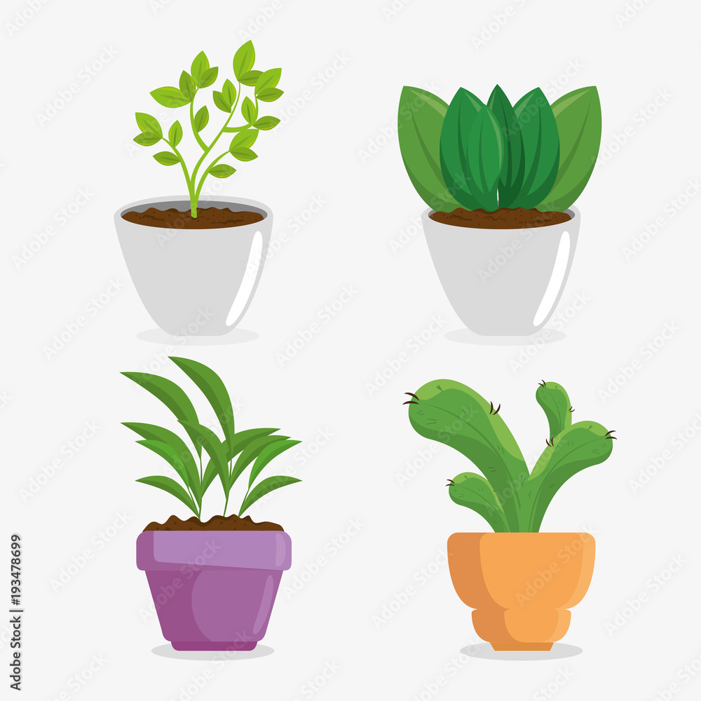 Obraz premium cute houseplant in pot vector illustration design