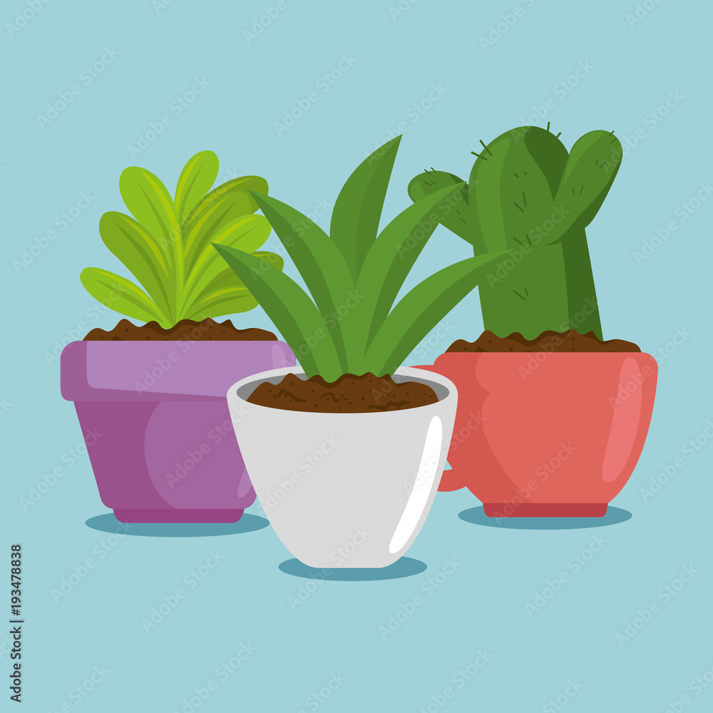 cute houseplant in pot vector illustration design cute houseplant in pot vector illustration design