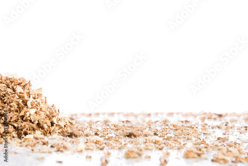 Oak wood shavings on white background, shadows and reflections, wood waste, space for text