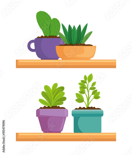 cute houseplant in pot vector illustration design