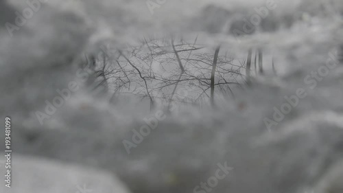 Unusual filming, wonderful reflection. Reflection of tree branches in thin ice and streams flowing under ice with bubbles of air. Spring Creek, babbling brook. Art videos, realistic videos art
 photo