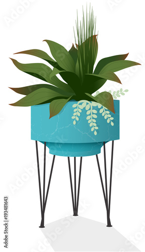 Houseplant mix in a mid-century modern planter isolated with cast shadow.