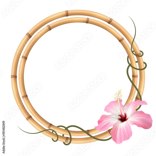 Realistic bamboo frame with hibiscus light pink flower.