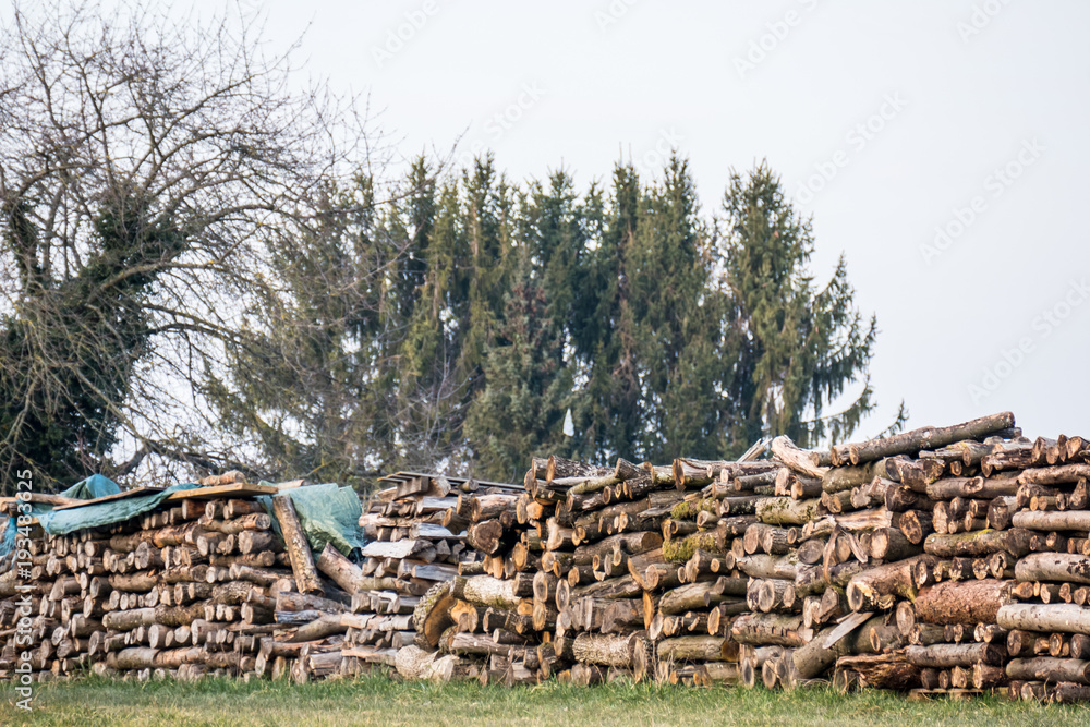Brennholzlager auf Wiese