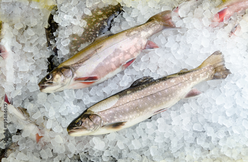 Räucherfisch Fisch geraucht geräuchert smoked fish