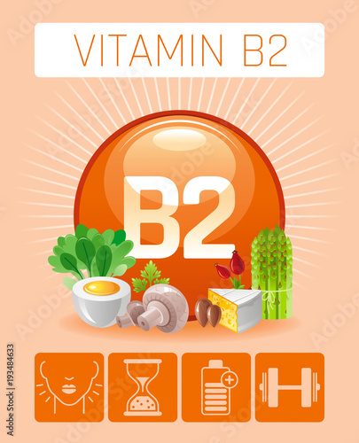 Riboflavin Vitamin B2 rich food icons. Healthy eating flat icon set, text logo, isolated background. Diet Infographics chart banner. Cheese egg asparagus nut. Table vector illustration, human benefits
