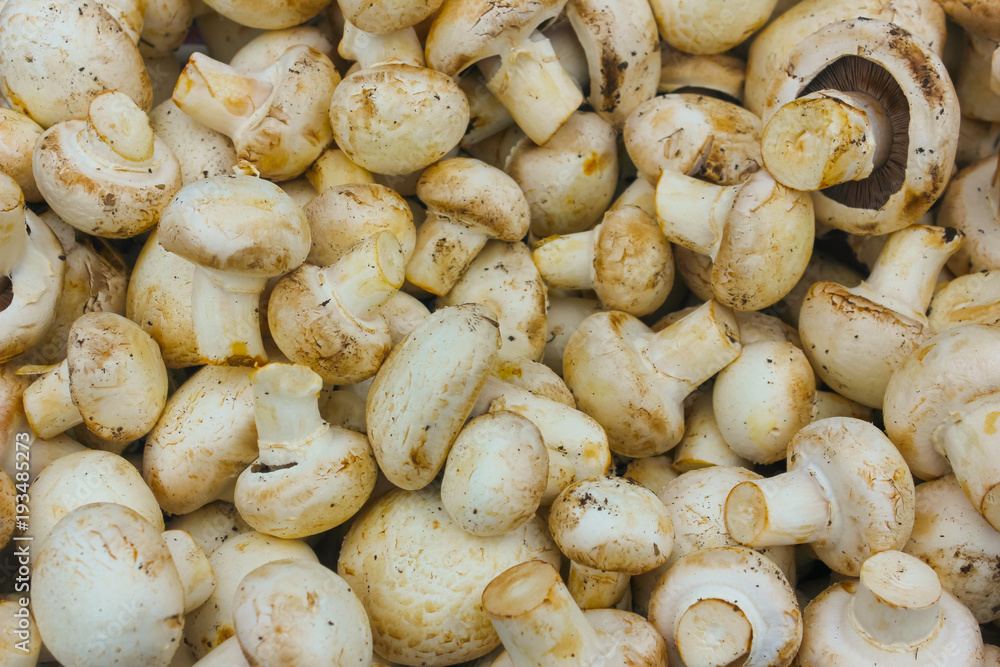Freshly cut champignons close-up. Heap of mushrooms, mushrooms, background. Freshly cut champignons close-up. Heap of mushrooms, mushrooms, background.