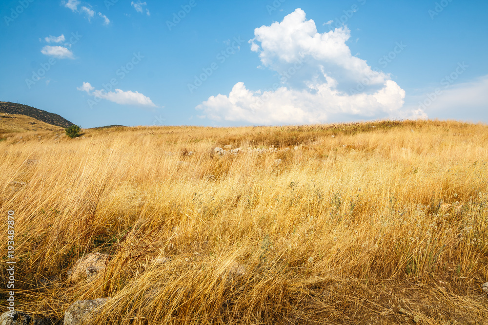 Field full of yellow grass and rocks on it sunny autumn day - obrazy, fototapety, plakaty 