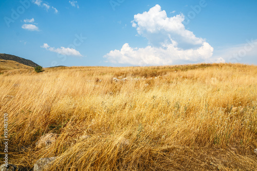 Field full of yellow grass and rocks on it sunny autumn day photo
