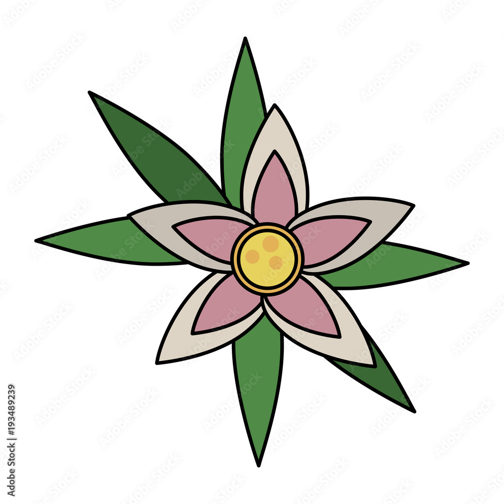 Beautiful flower isolated icon vector illustration graphic design Beautiful flower isolated icon vector illustration graphic design