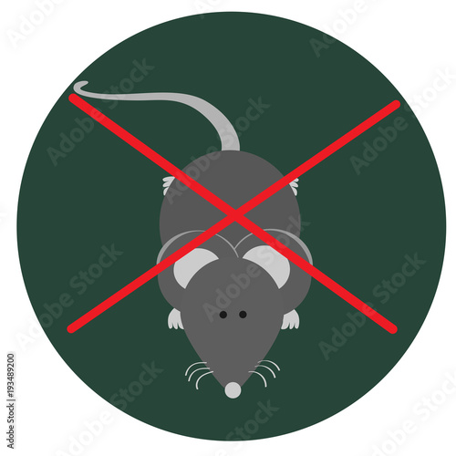 gray mouse icon photo