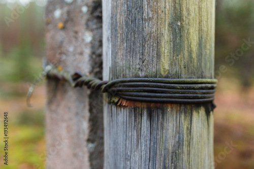 A wooden post wrapped iron wire. Close-up macro photo of a rusted wire wrapped around a wooden fence post © korchemkin