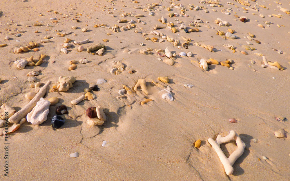 Many dead corals on the sand on Koh Bulon, Thailand (island in the Andaman sea) Many dead corals on the sand on Koh Bulon, Thailand (island in the Andaman sea)