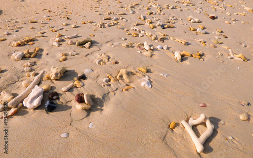 Many dead corals on the sand on Koh Bulon, Thailand (island in the Andaman sea)