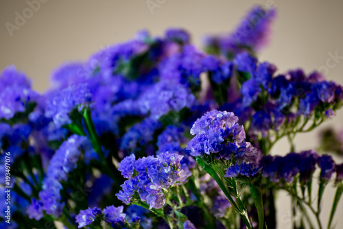 Mazzo di fiori viola still life