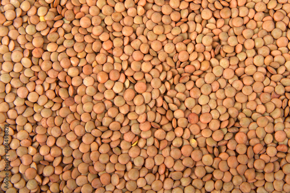 Flat view from above of many Lentil beans Flat view from above of many Lentil beans