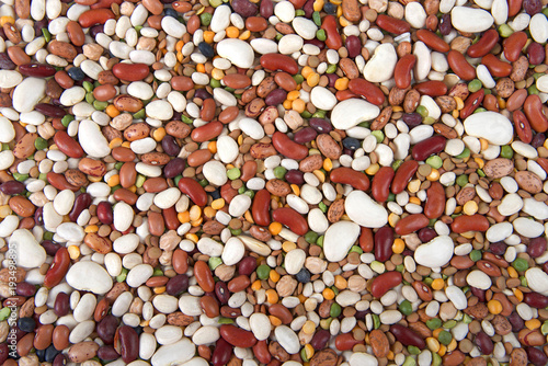 Flat view from above fifteen beans varieties for bean salad or soup