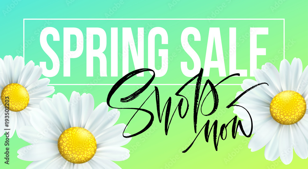 Spring sale banner, background with daisy flowers. Seasonal discount. Vector illustration Spring sale banner, background with daisy flowers. Seasonal discount. Vector illustration