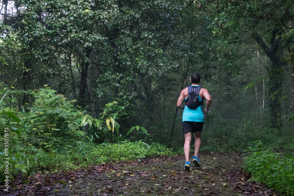 Athletic runner running on tropical forest trail, dramatic tone Athletic runner running on tropical forest trail, dramatic tone
