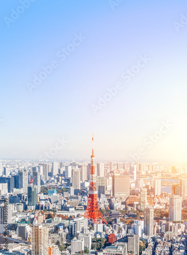 Asia Business concept for real estate and corporate construction - panoramic modern city skyline bird eye aerial view of tokyo and odaiba under blue sky in Roppongi Hill  Tokyo  Japan